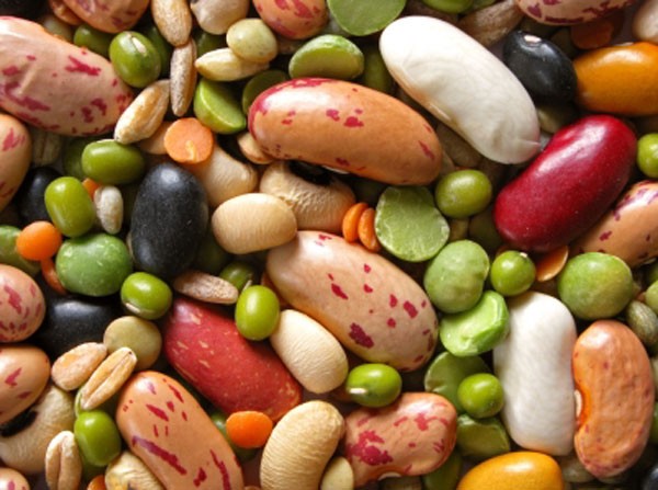 3. Các loại đậu Đậu xanh, đậu lăng, đậu đen, đậu đỏ… đều là các loại rất tốt cho phụ nữ mang thai, vì trong đậu có chứa chất xơ và protein của tất cả các loại rau.